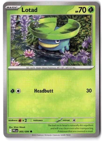 Lotad - Phantasmal Flames #005/094