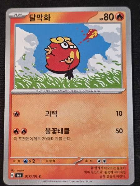 Darumaka (Korean) #017/101