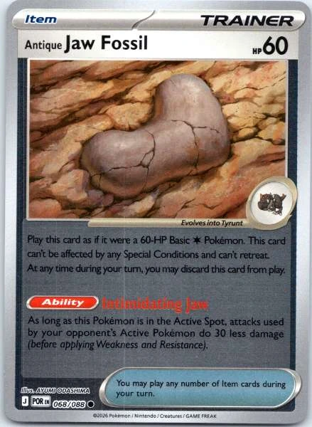 Antique Jaw Fossil - 151 #068/088