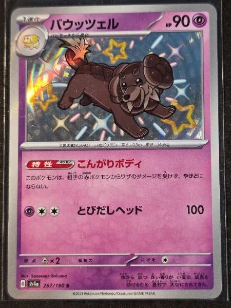 Dachsbun (Japanese) - Shiny Treasure ex #267/190