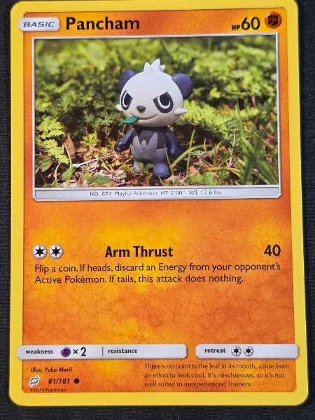 Pancham - Team Up #81/181