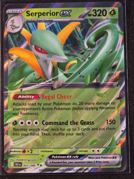 Serperior EX - Black Bolt #003/086