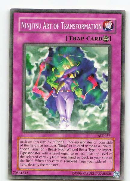 Ninjutsu Art of Transformation - Ancient Sanctuary #AST-052
