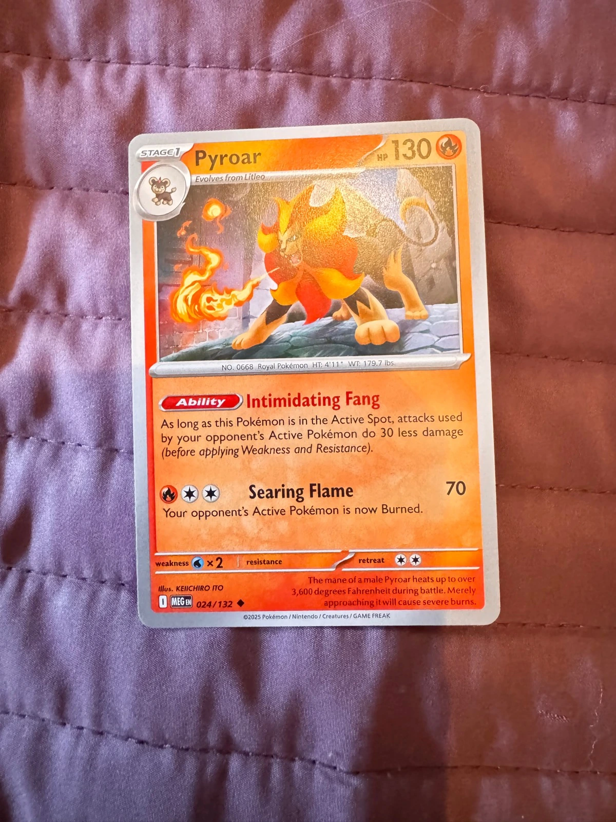 Pyroar - XY Evolutions #024/132