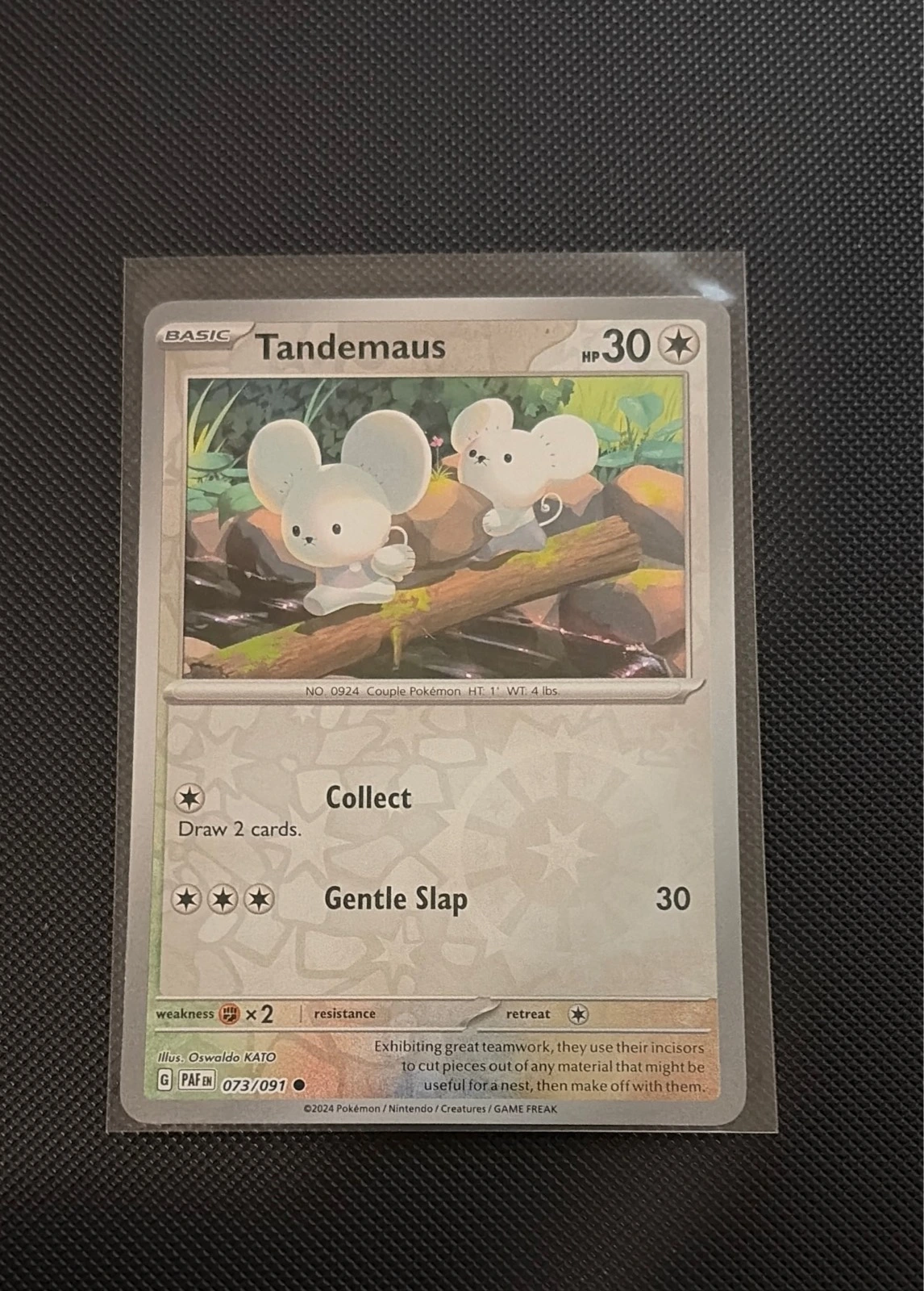 Tandemaus - Paldean Fates #073/091
