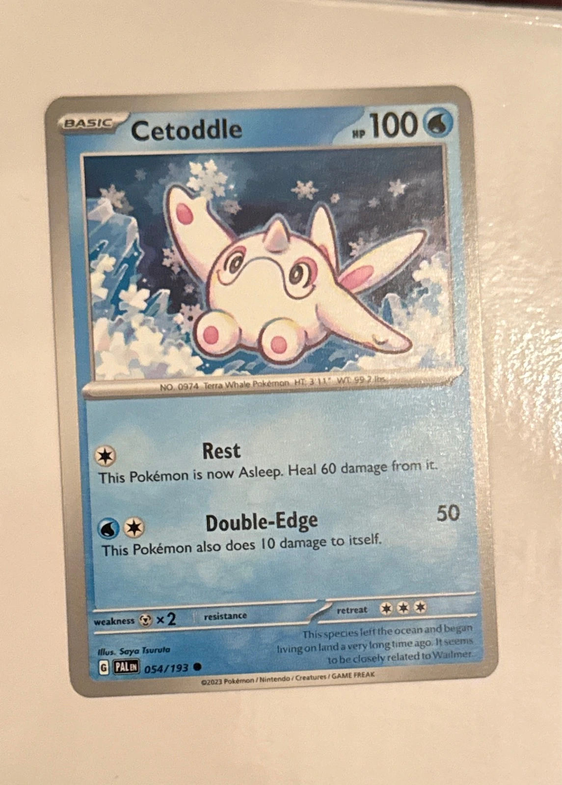 Cetoddle - Paldea Evolved #054/193