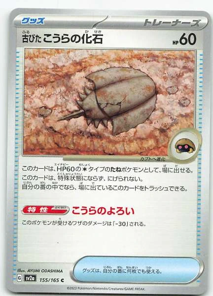 古びたこうらの化石 (Japanese) #155/165