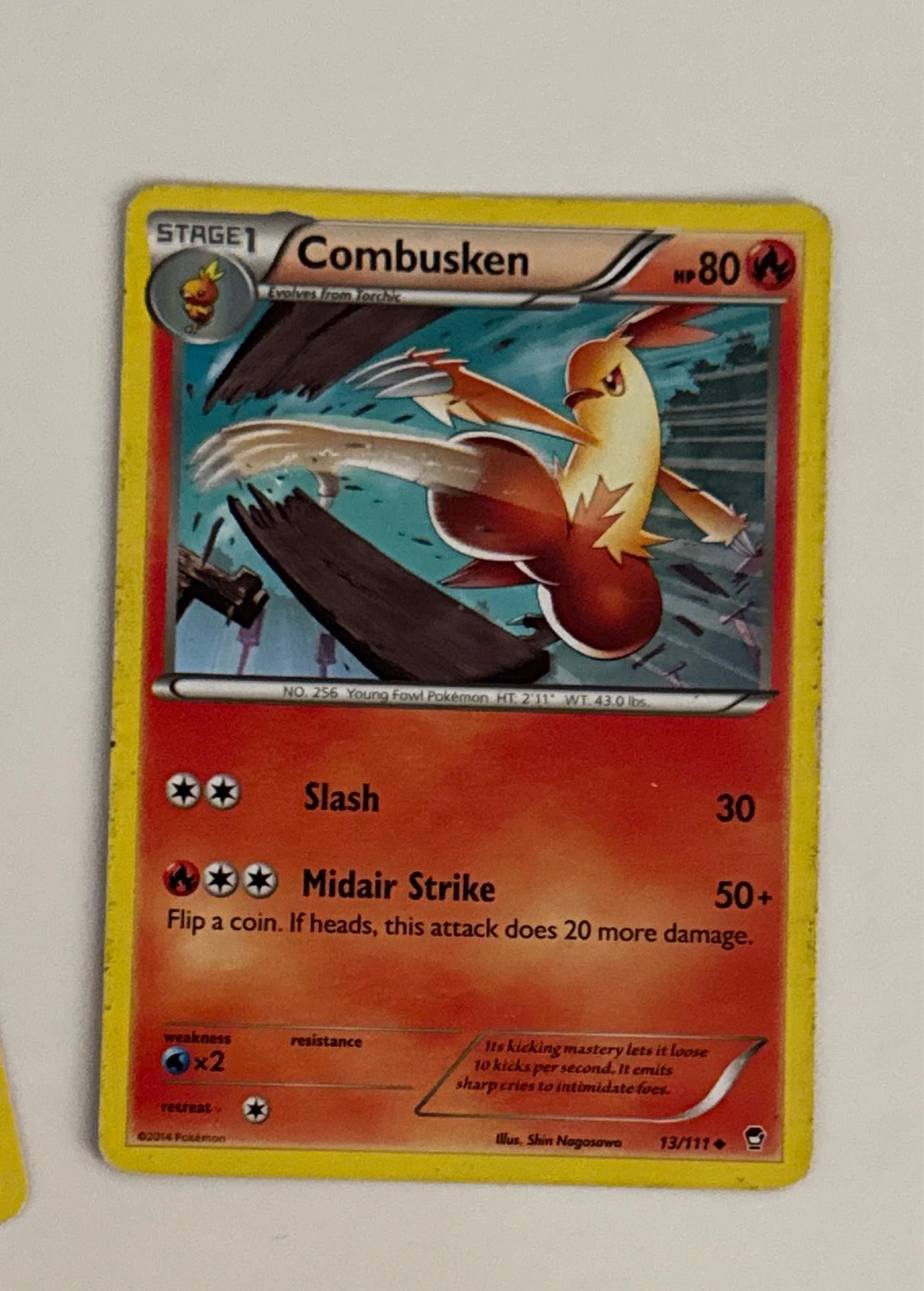 Combusken - Furious Fists #13/111
