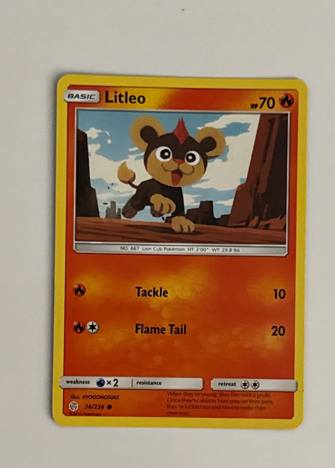 Litleo - Unified Minds #36/236