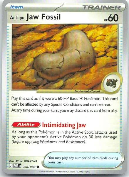 Antique Jaw Fossil - Perfect Order #068/088
