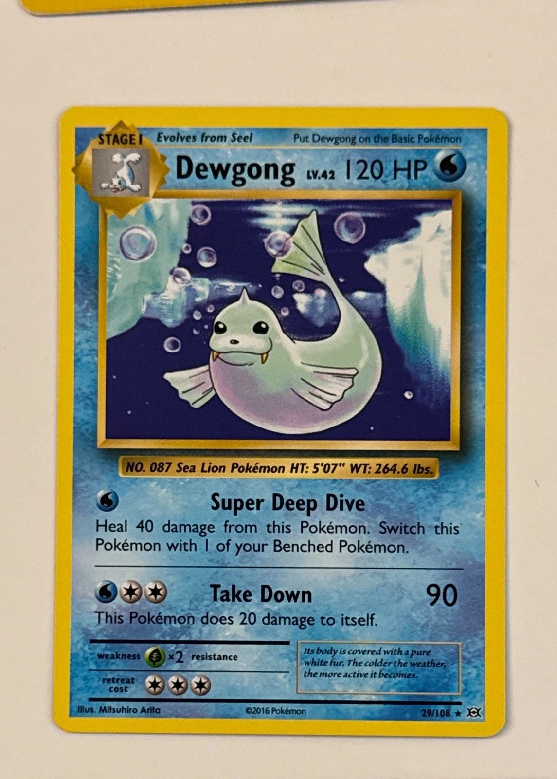 Dewgong - Pokémon Evolutions #29/108