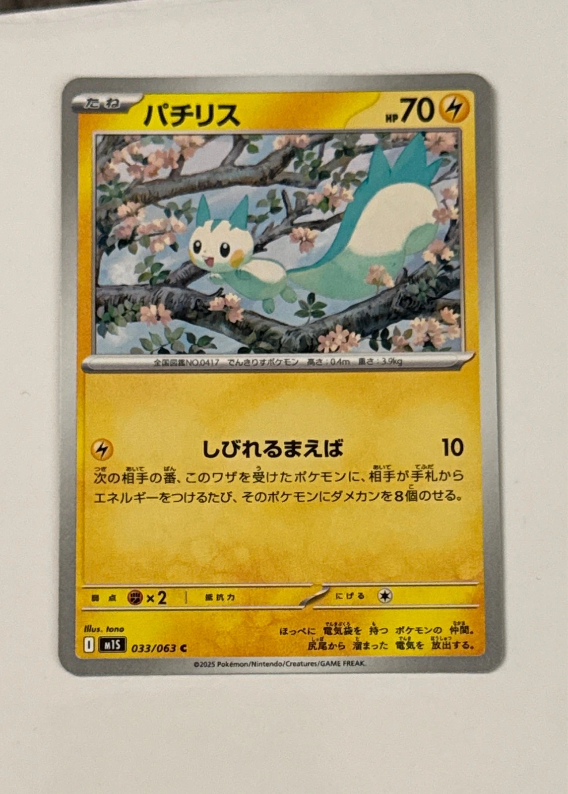 Pachirisu - Pokémon Stellar Miracle #033/063