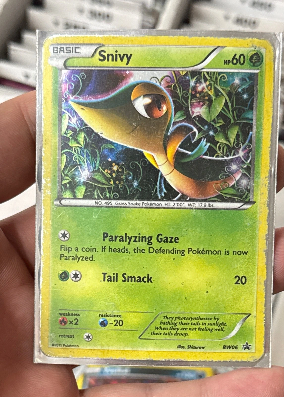 Snivy - Black & White Promos #BW06