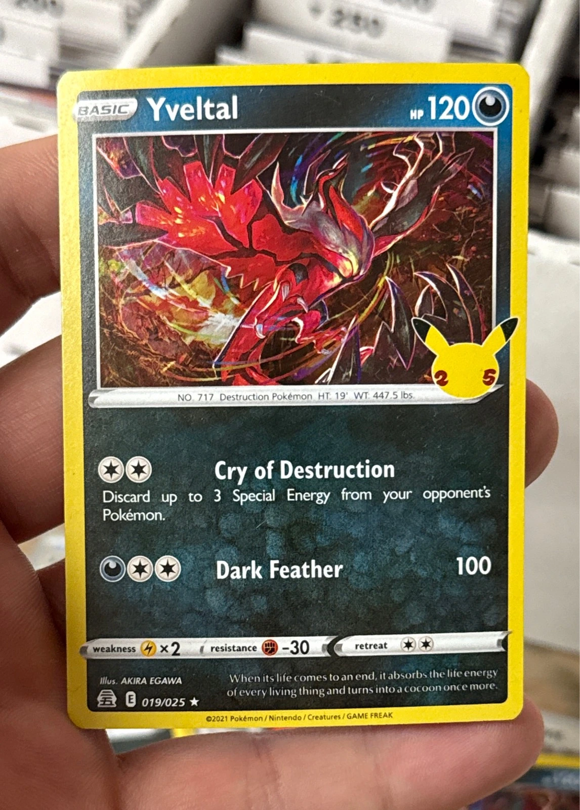 Yveltal - Pokémon Celebrations #019/025