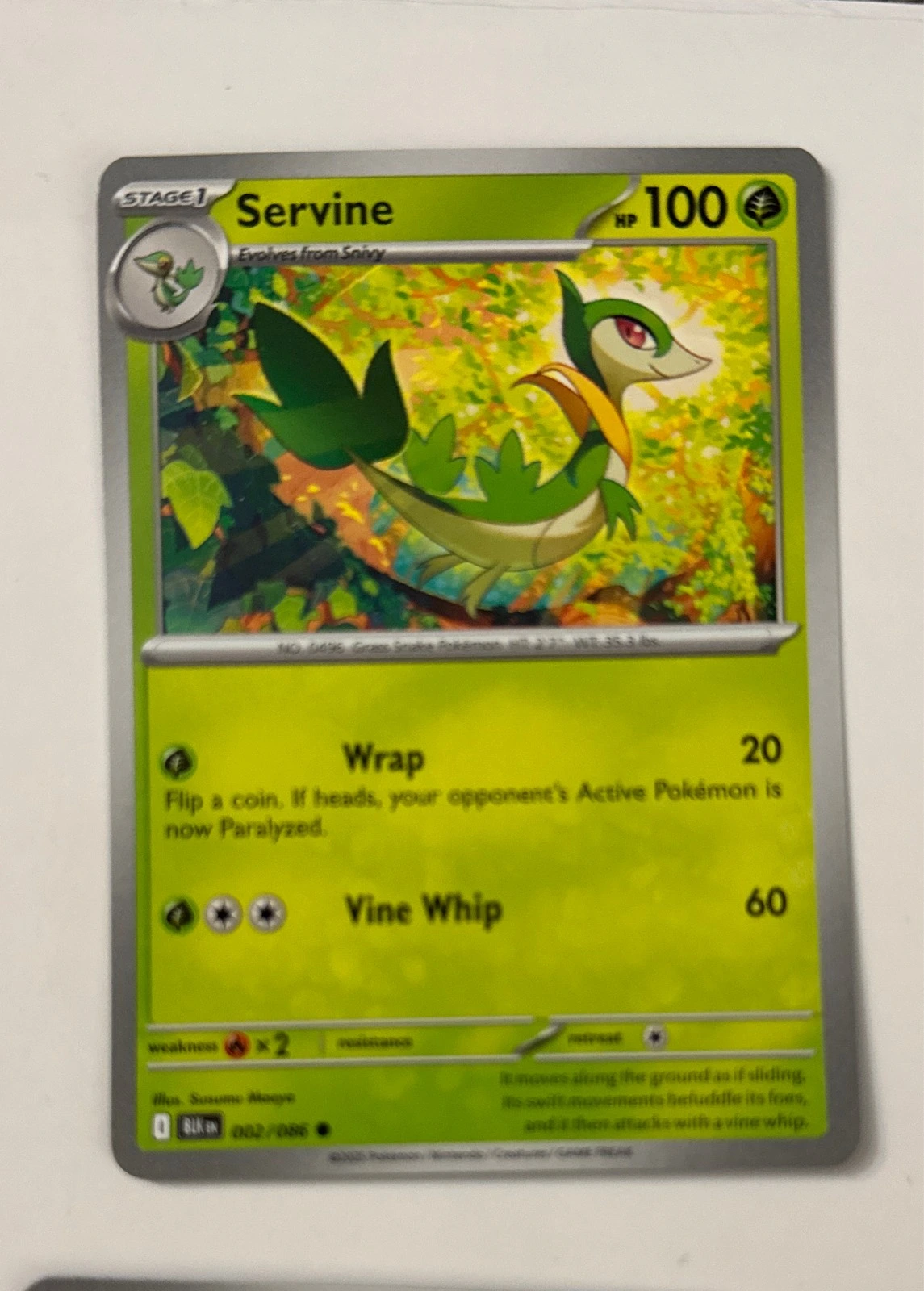 Servine - Black & White #002/086