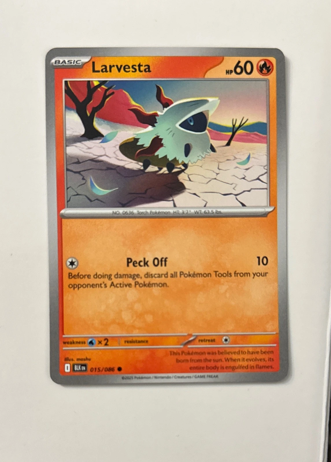 Larvesta - Black Star Promos #015/086