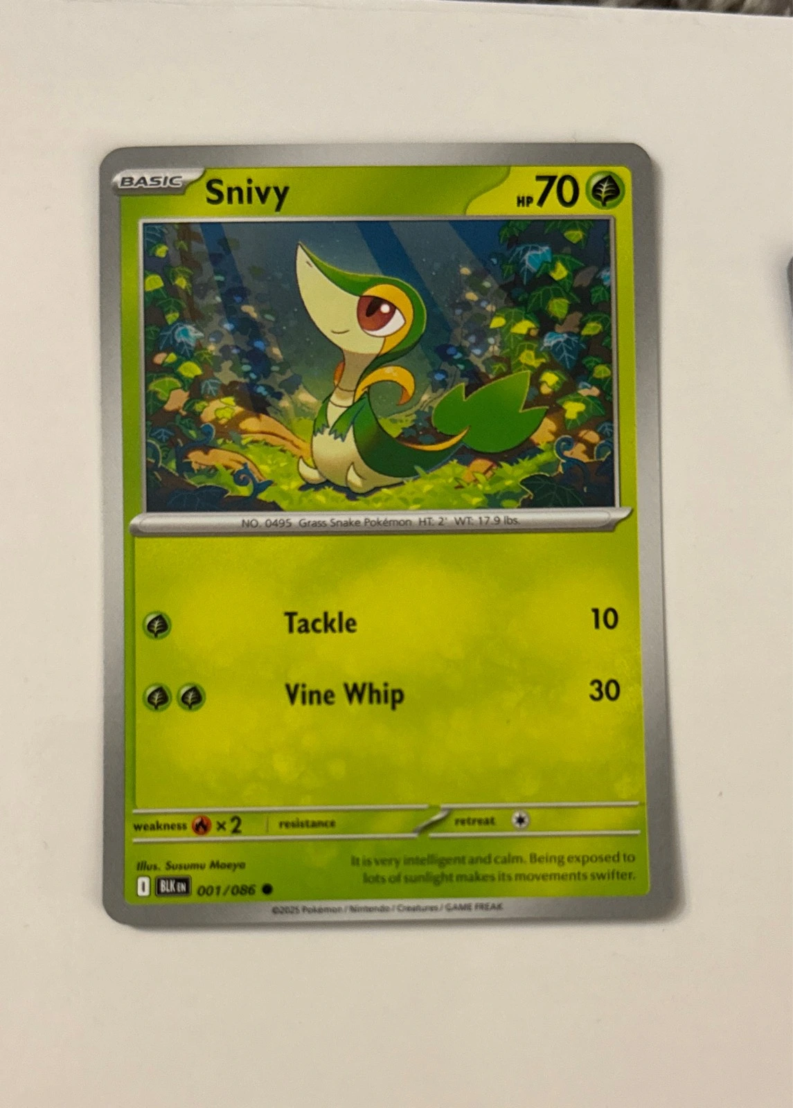 Snivy - Black & White #001/086