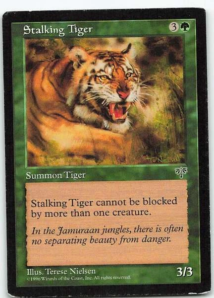 Stalking Tiger - Multiple Sets