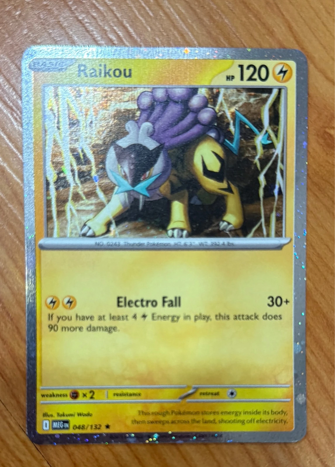Raikou - Platinum #048/132