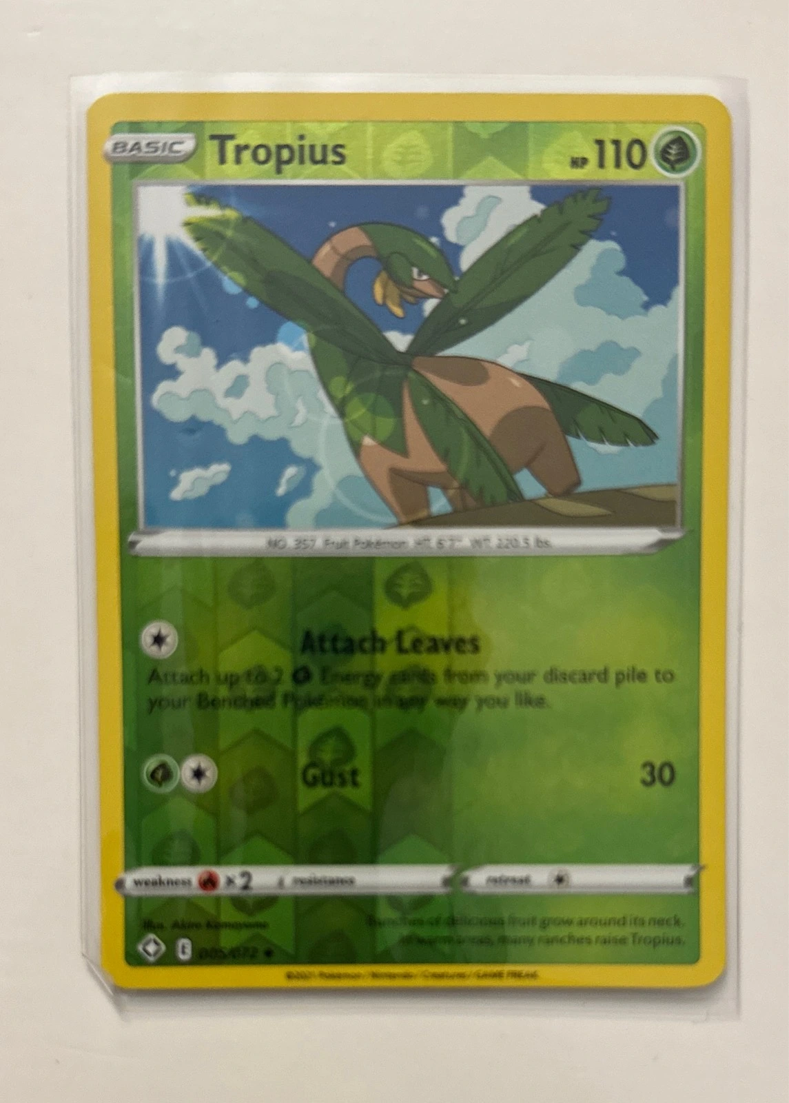 Tropius - Evolving Skies #005/203