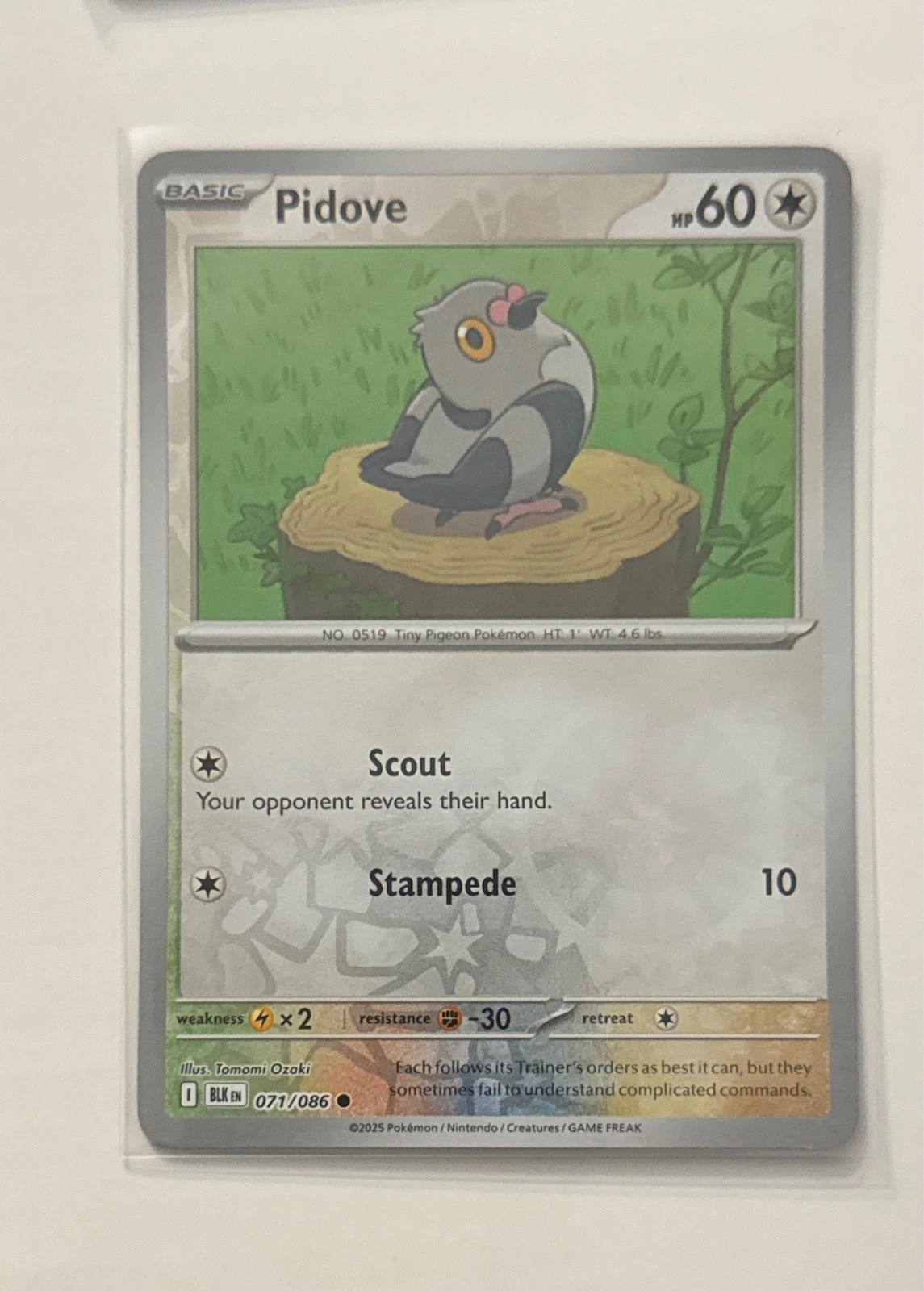 Pidove - Black & White #071/086