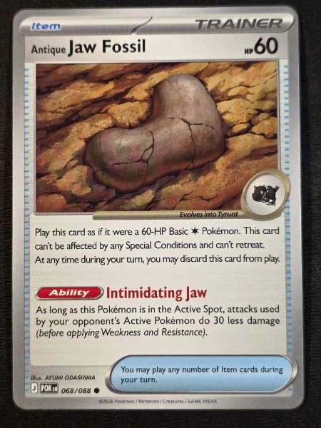 Antique Jaw Fossil - 151 #068/088