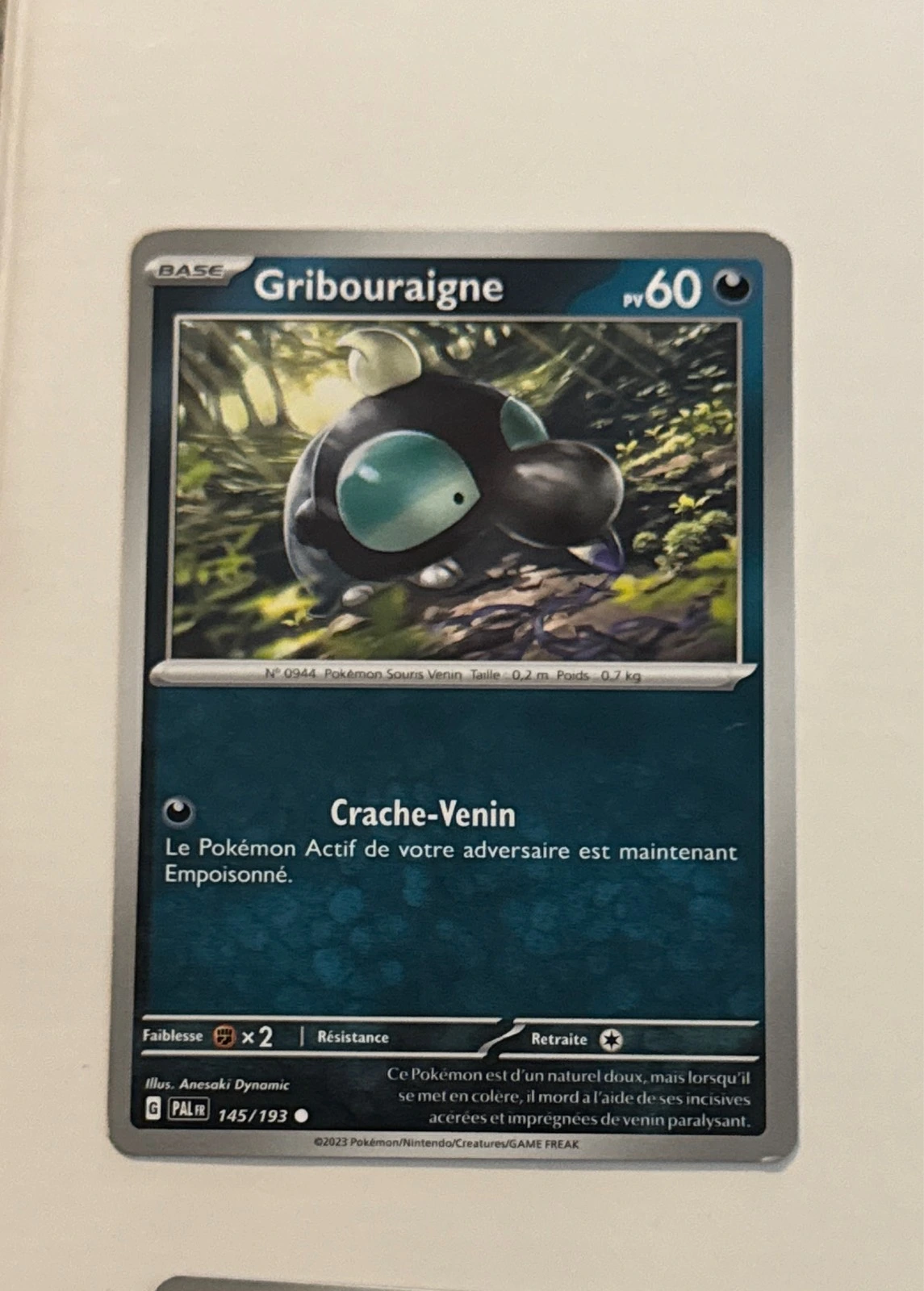 Gribouraigne - Évolutions à Paldea #145/193