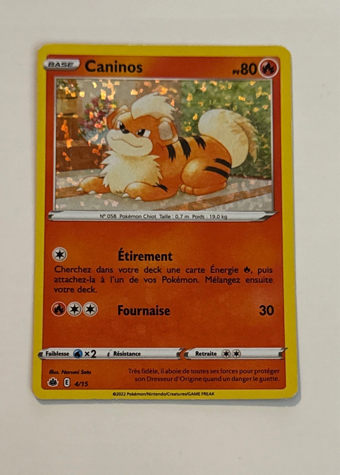 Caninos - Pokémon McDonald's Collection 2022 #4/15