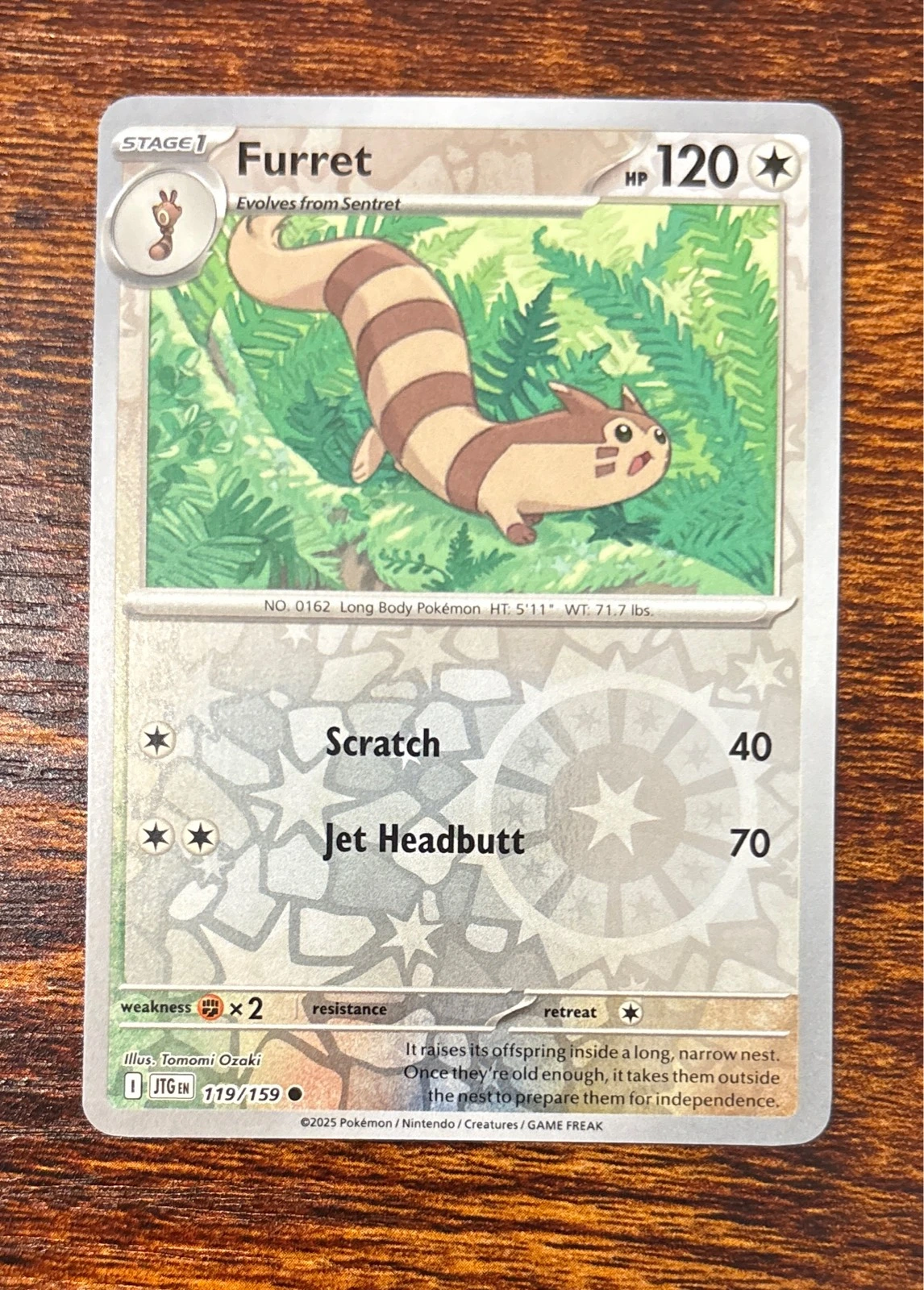 Furret - Stellar Crown #119/159