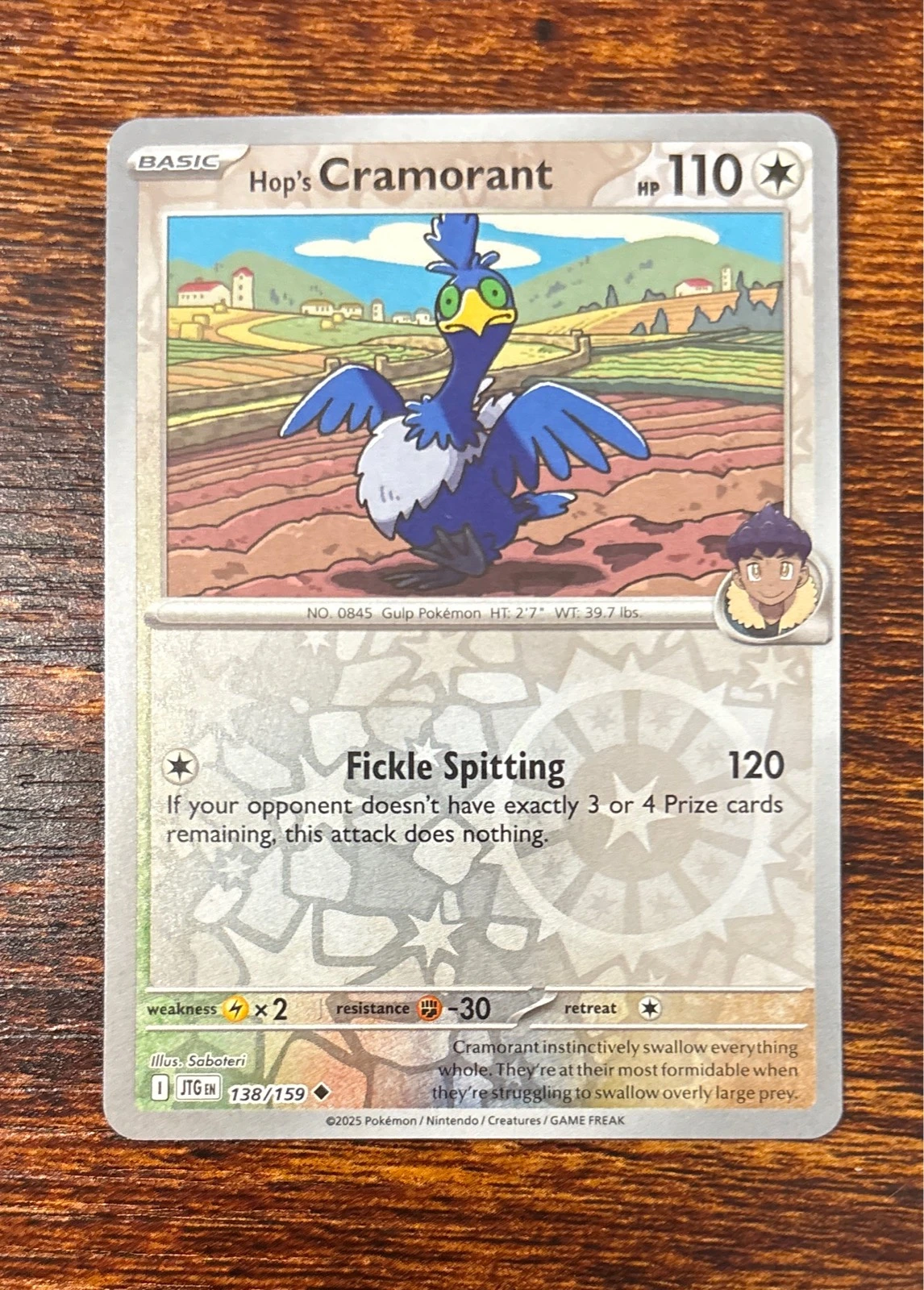 Hop's Cramorant - Pokémon #138/159