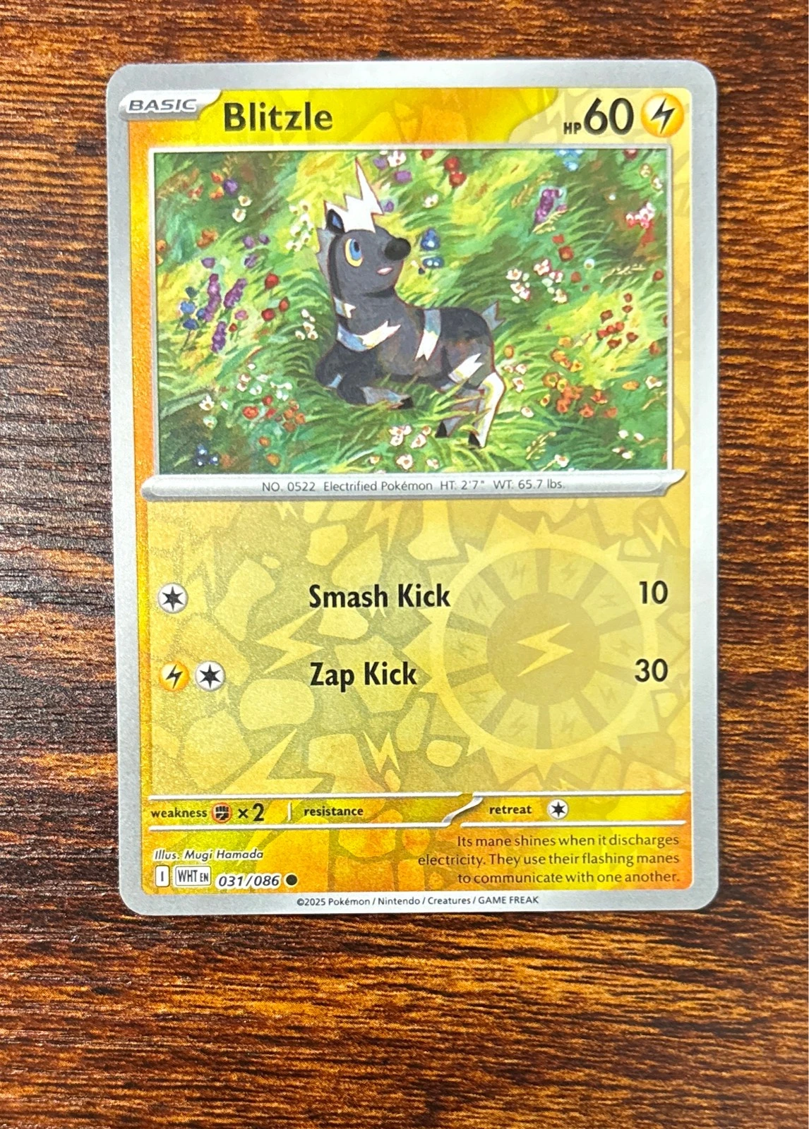 Blitzle - Pokémon TCG: Scarlet & Violet—Prismatic Evolutions #031/086