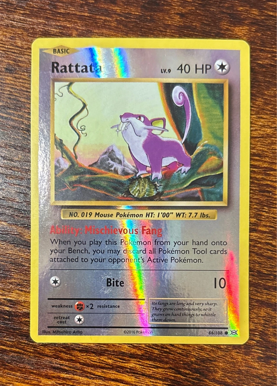 Rattata - XY—Evolutions #66/108