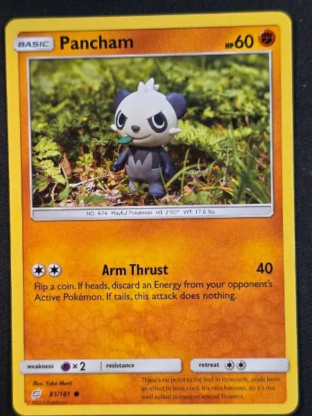 Pancham - Team Up #81/181