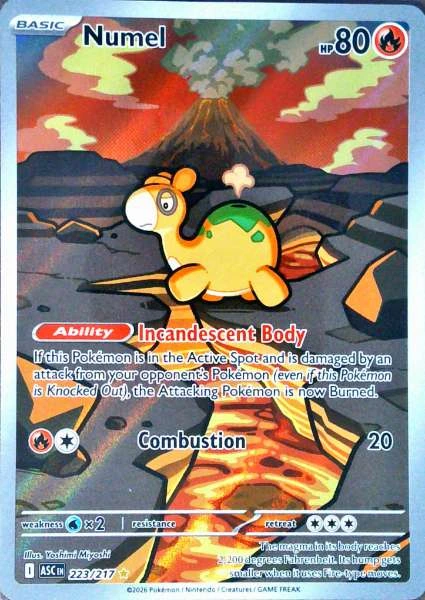 Numel - Ascended Heroes #223/217