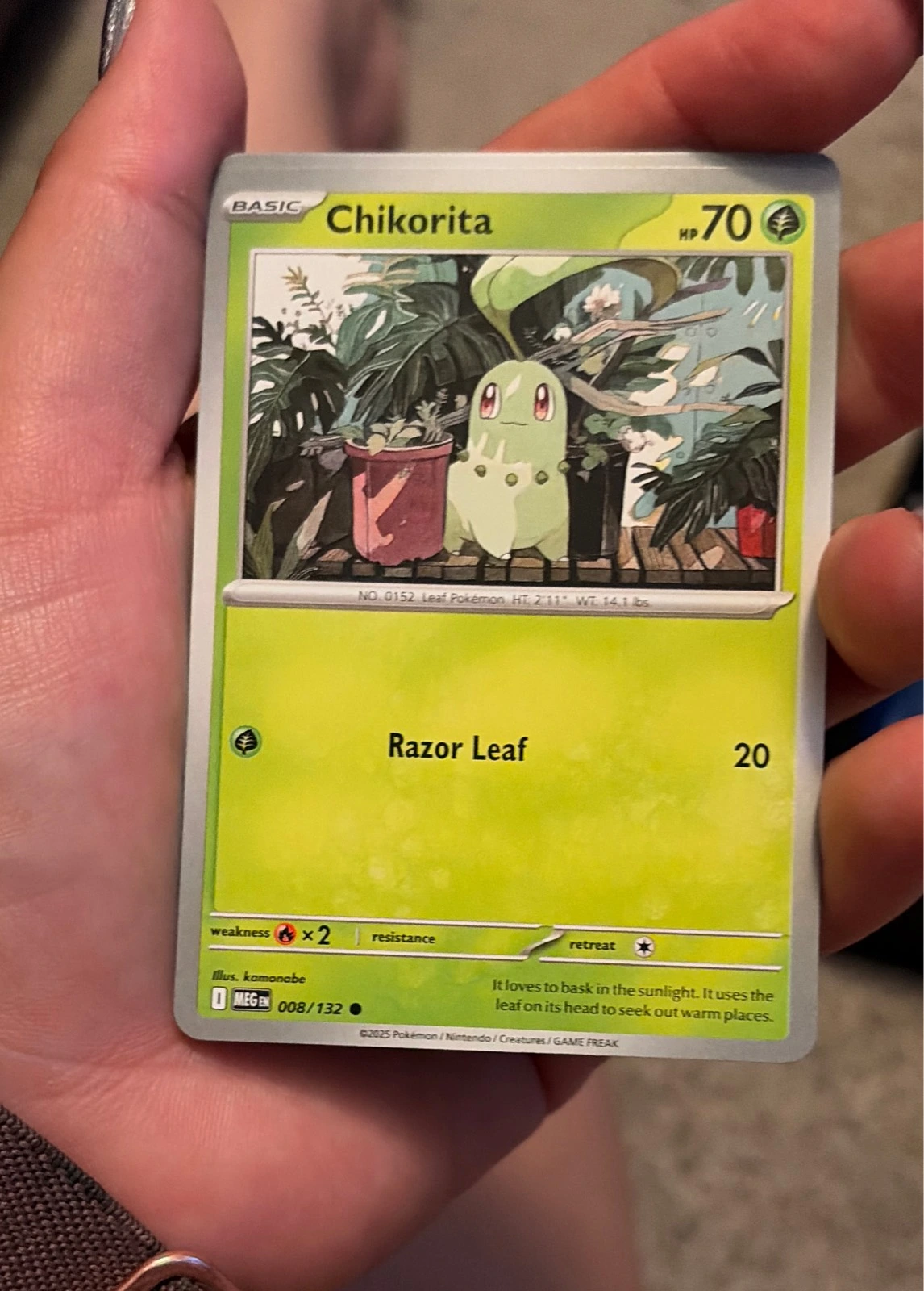 Chikorita 008/132 Common Mega Evolution Pokemon Reverse Holo Near Mint - Stellar Crown #008/132