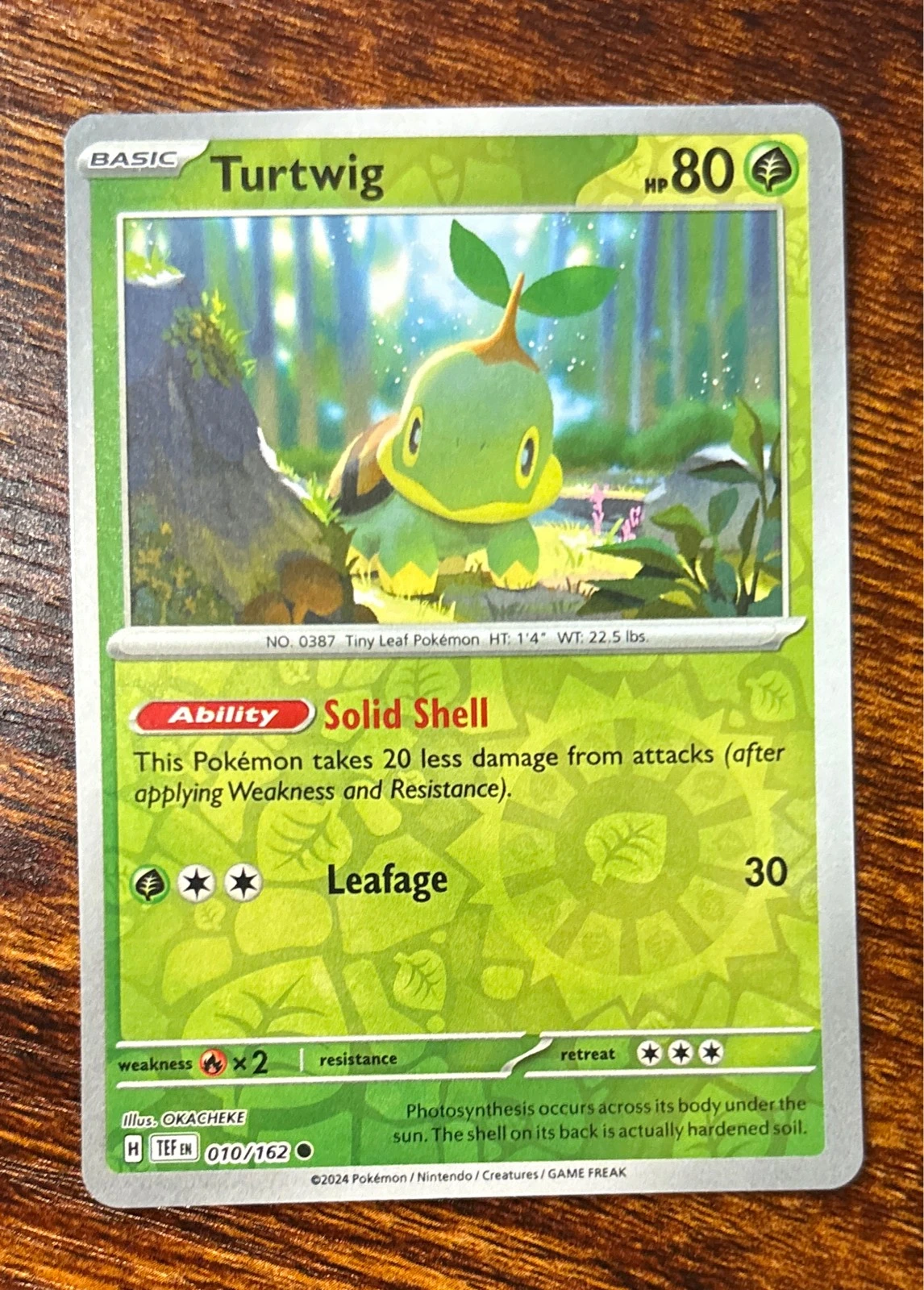 Turtwig - Temporal Forces #010/162
