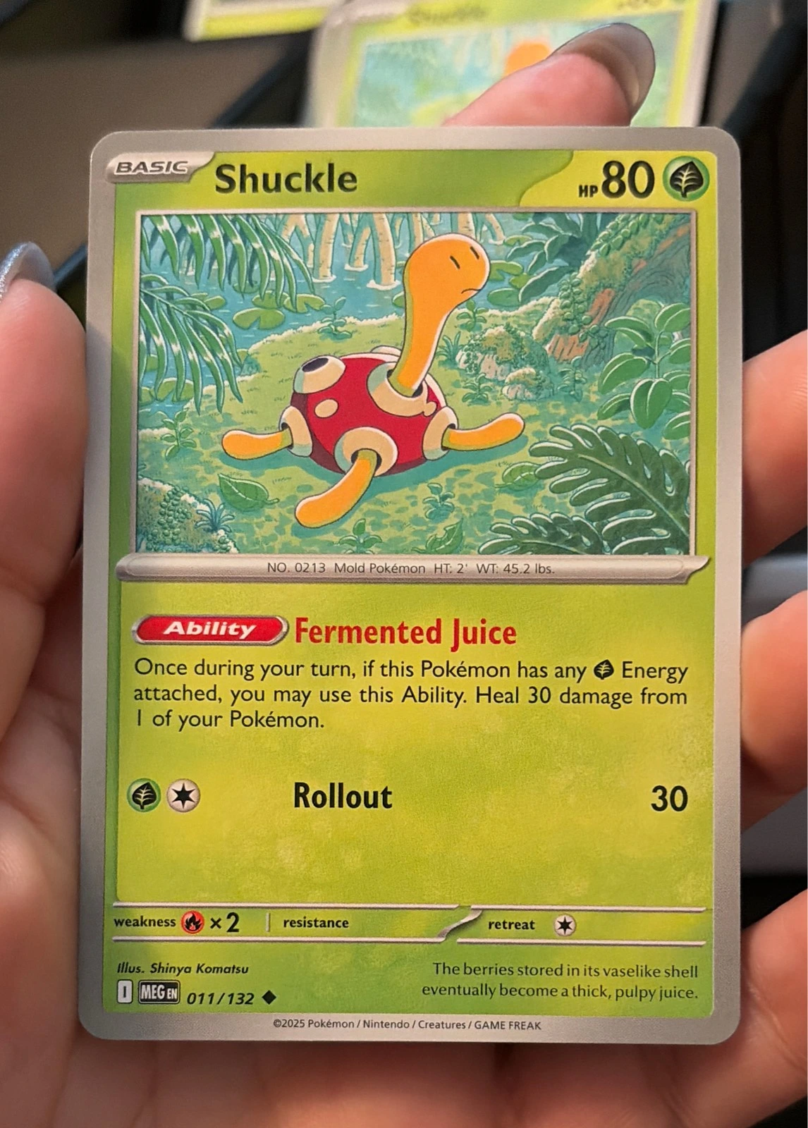 Shuckle Mega Evolution 011/132 Uncommon Pokemon Near Mint - Stellar Crown #011/132
