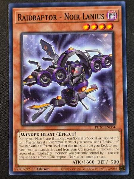 Raidraptor - Noir Lanius #PHNI-EN004