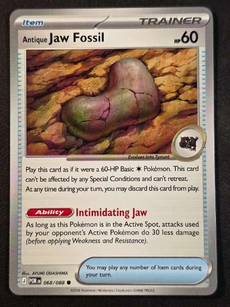 Antique Jaw Fossil - Perfect Order #068/088