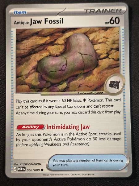 Antique Jaw Fossil - Perfect Order #068/088
