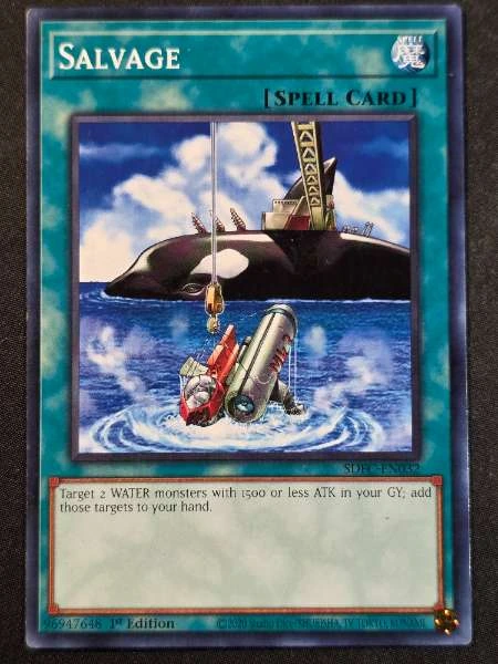 Salvage - Freezing Chains #SDFC-EN032