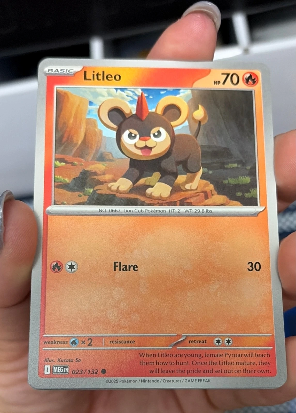 Litleo - Stellar Crown #023/132