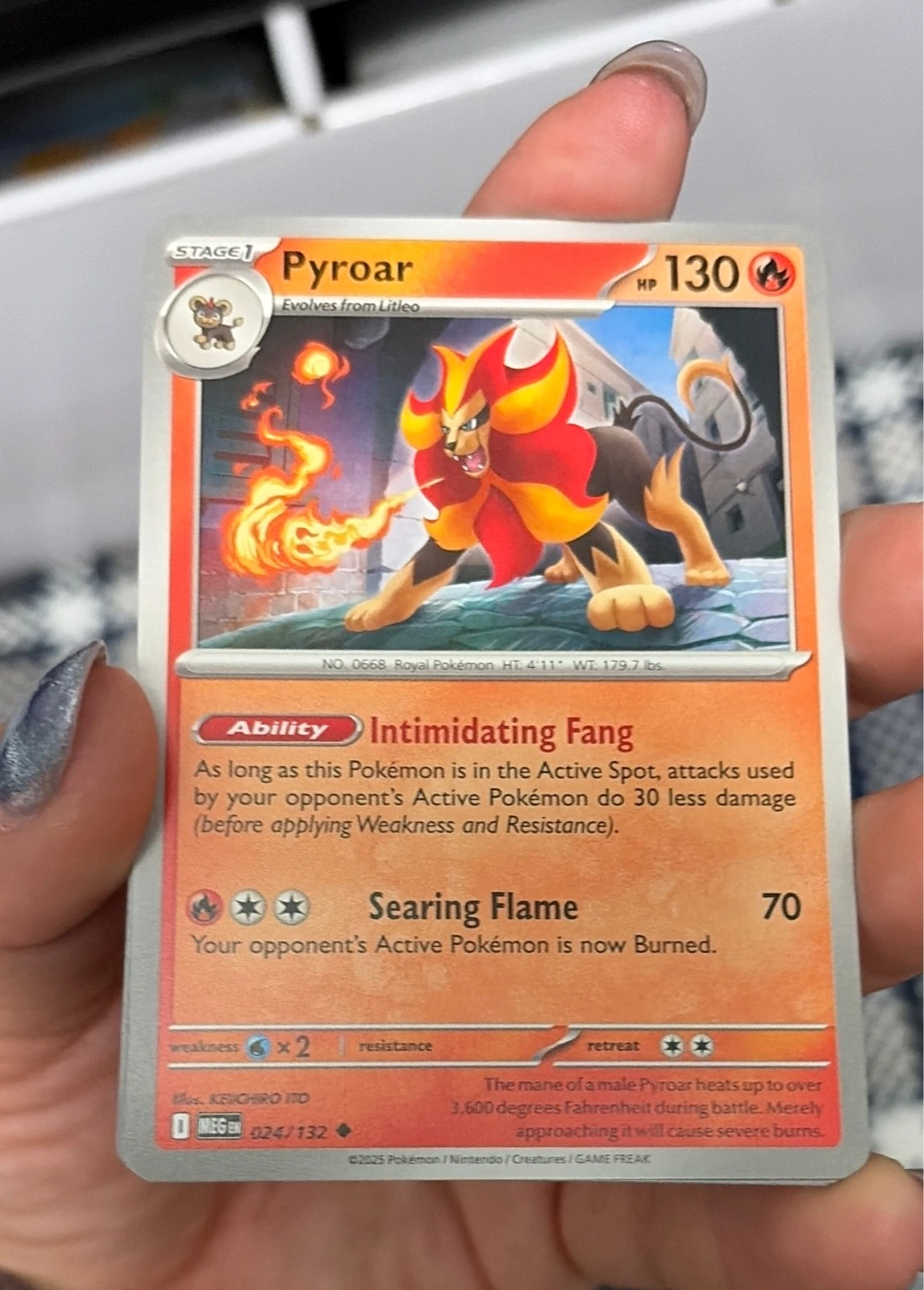 Pyroar - Scarlet & Violet—Temporal Forces #024/162