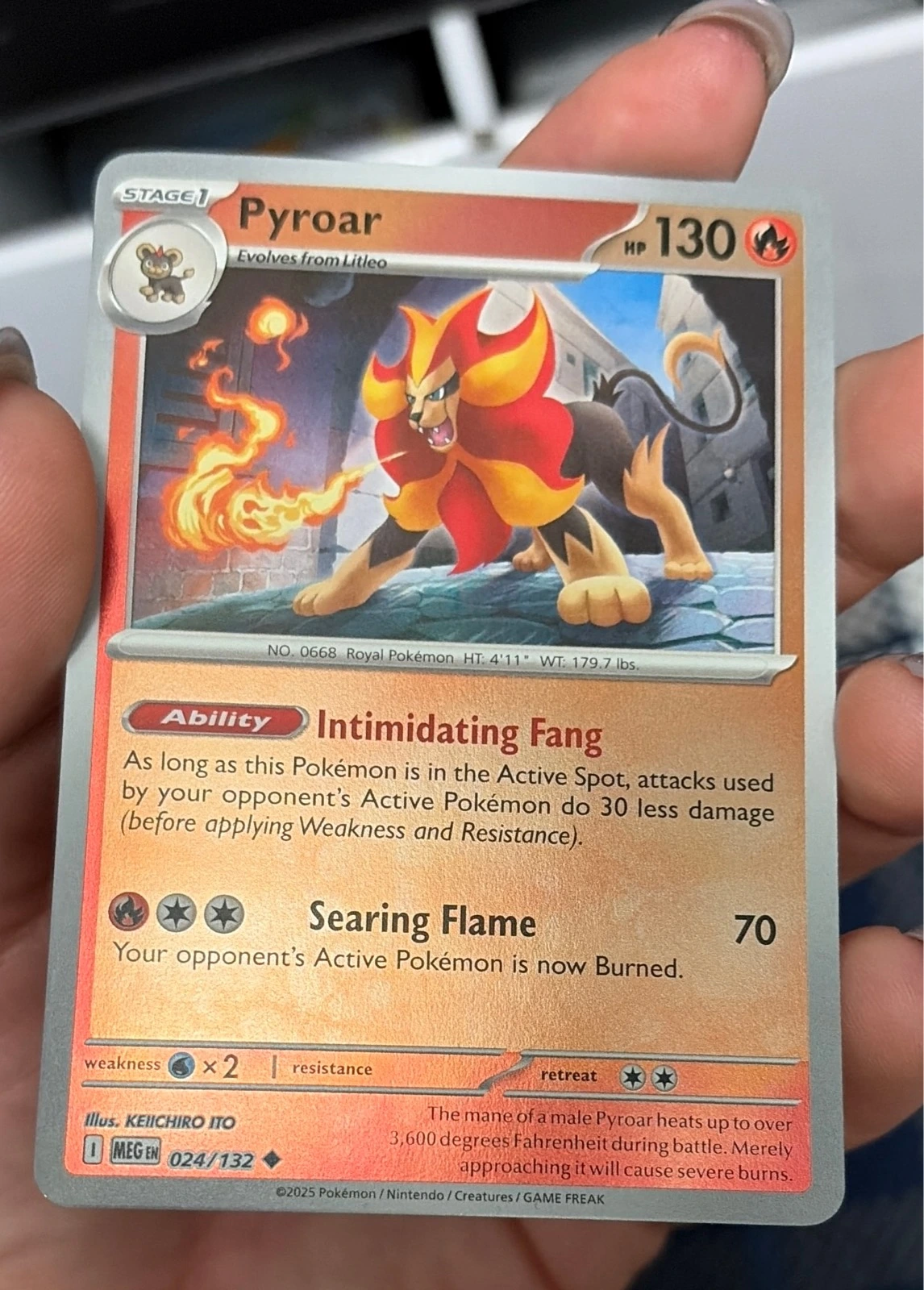 Pyroar - XY Flashfire #024/132
