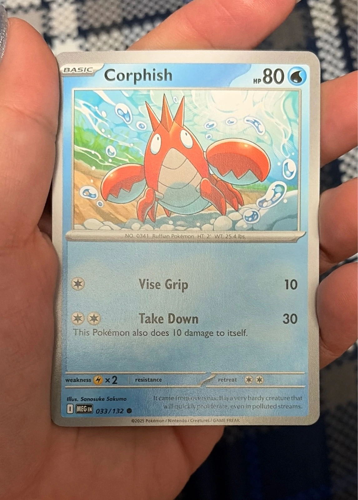 Corphish 033/132 Mega Evolution Common Near Mint Pokemon TCG - Pokémon TCG: Mega Evolutions #033/132
