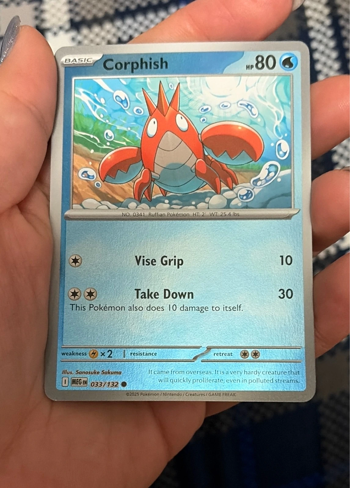 Corphish 033/132 Common Mega Evolution Pokemon Reverse Holo Near Mint - Mega  Evolution #033/132