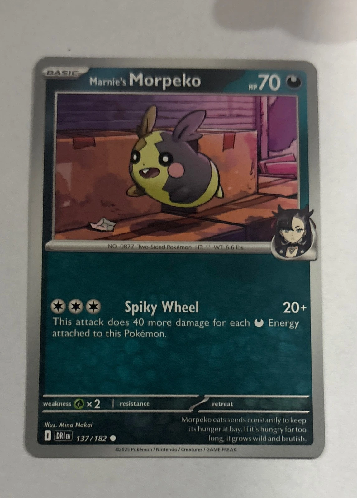 Marnie's Morpeko - Destined Rivals #137/182