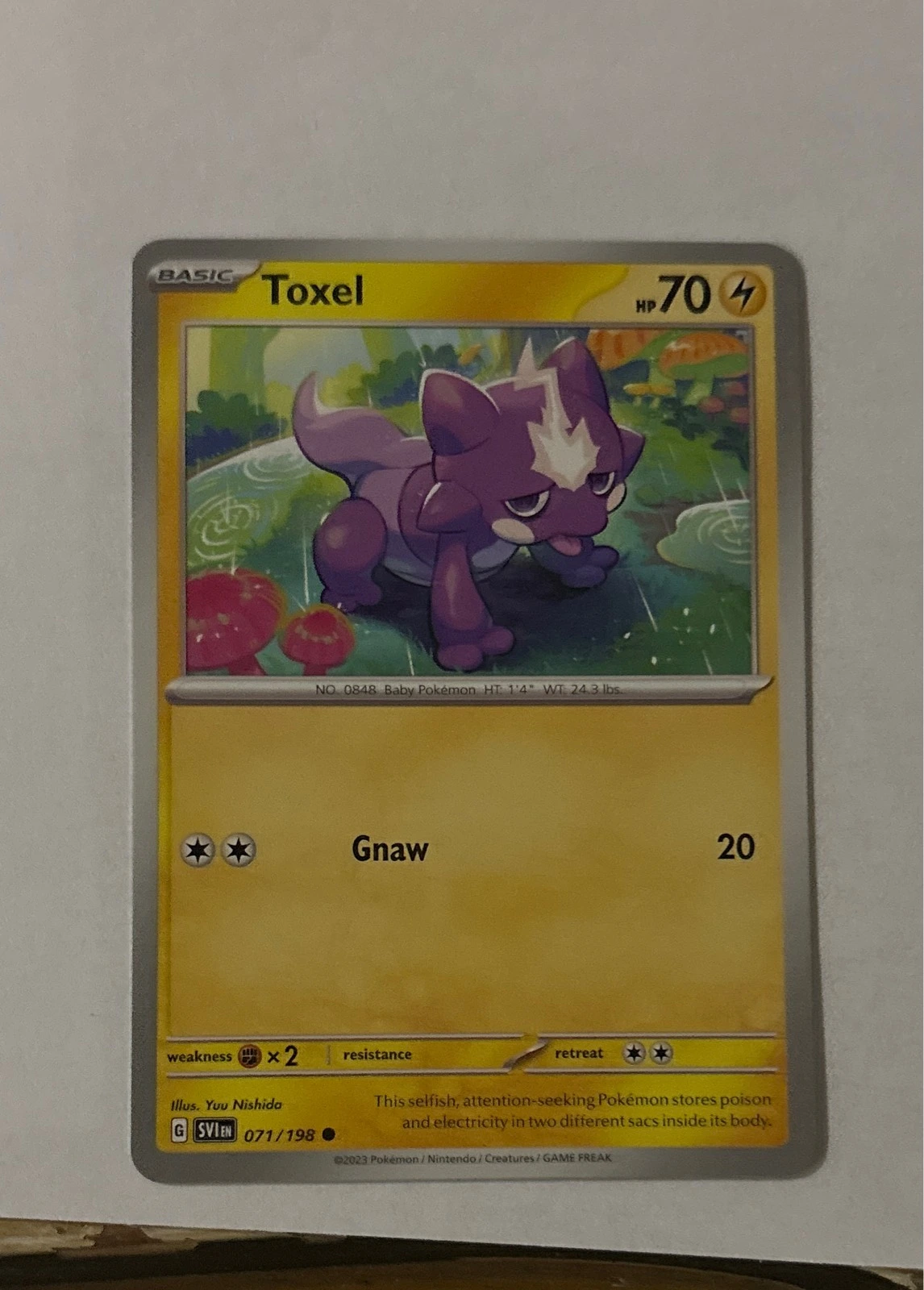 Toxel - Scarlet & Violet #071/198