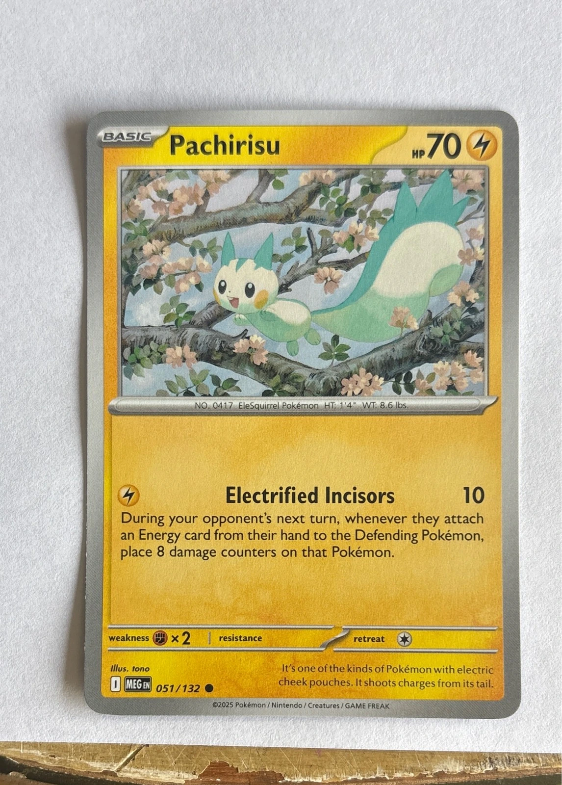 Pachirisu - Mega Evolutions #051/132
