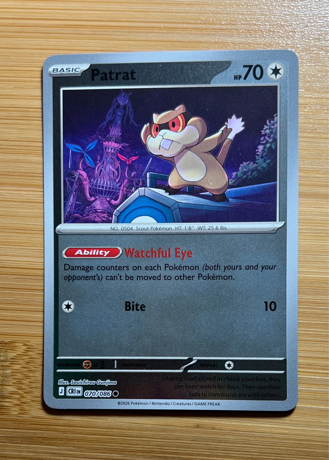 Patrat - Pokémon Chaos Rising #070/086